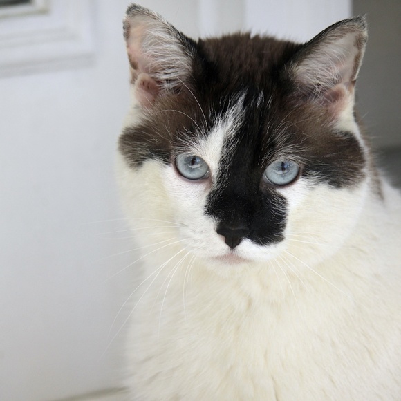 French Connection Dresses & Skirts - SOLD OUT